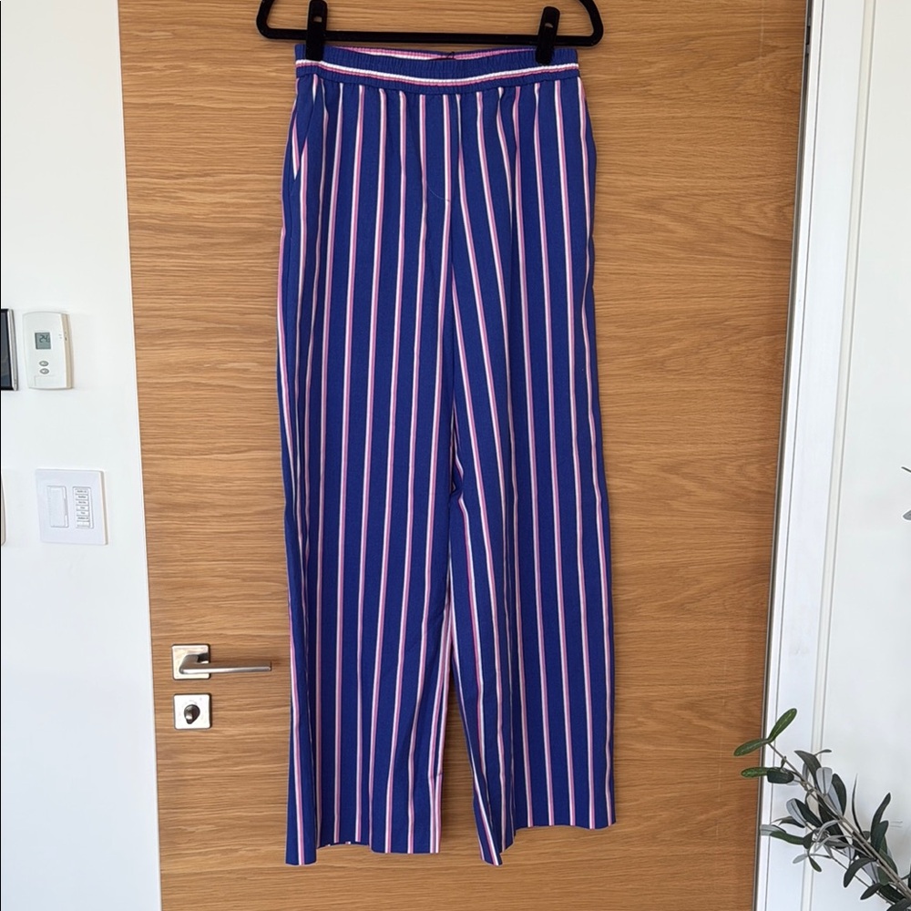 Zara Striped Blue and Pink Women's Pants